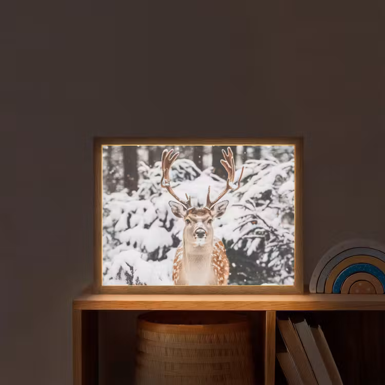 Nachtlicht Kinder - Hirsche - Schnee - Winter - Wald - Tiere — 2