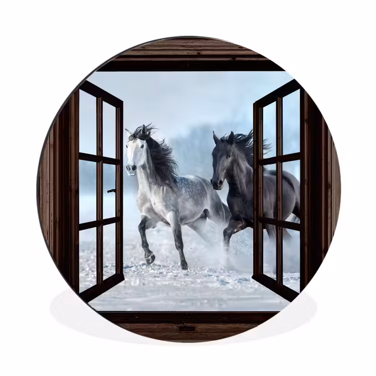 Pferde - Winter - Tiere - Natur - Durchblicken — 1