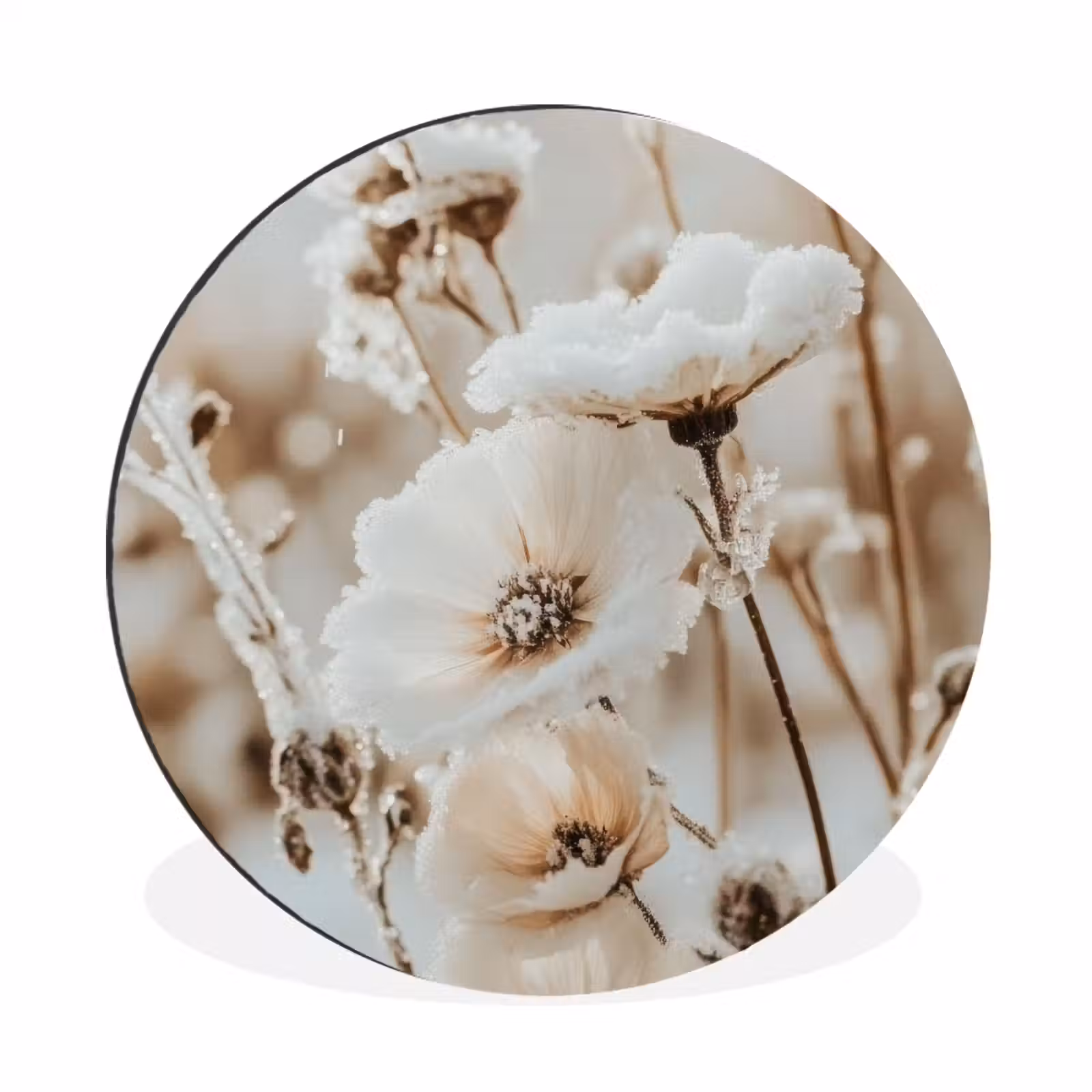 Blumen - Winter - Weiß - Schnee - Beige — 1