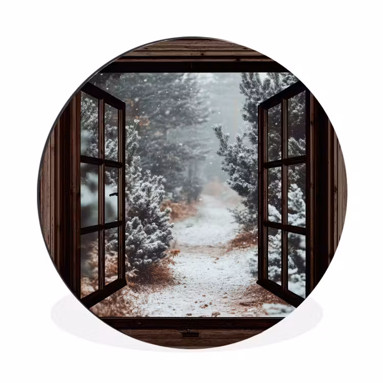 Wald - Winter - Bäume - Natur - Weg - Aussicht — 1