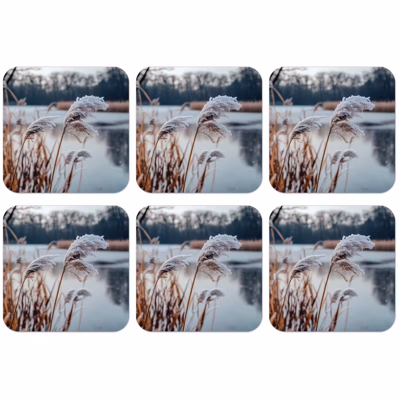 Untersetzer - Schilf - Gras - Natur - Winter - See — 1