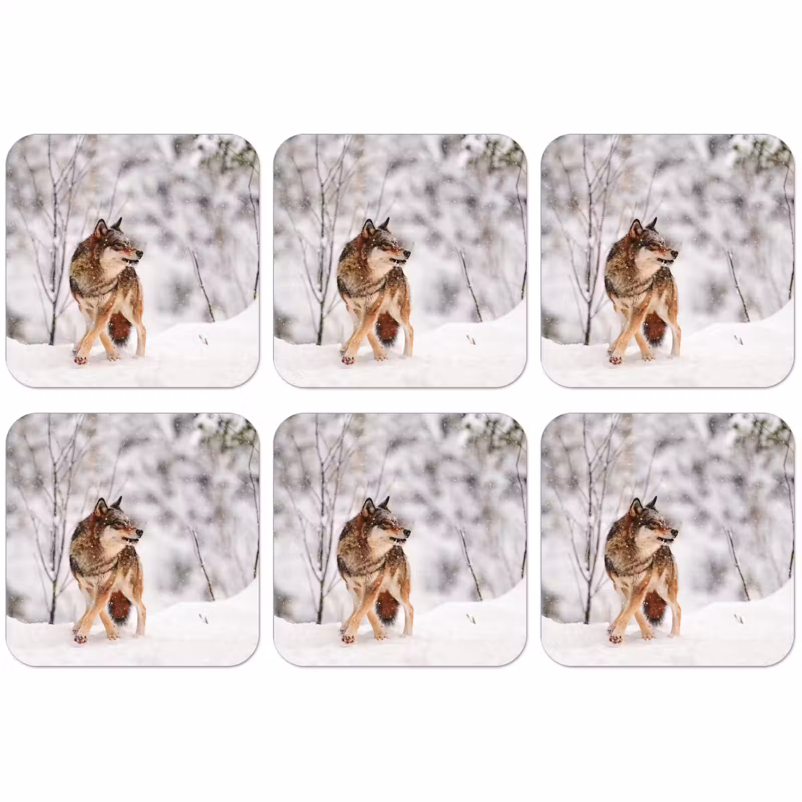 Untersetzer - Wolf - Winter - Schnee - Natur - Tiere — 1