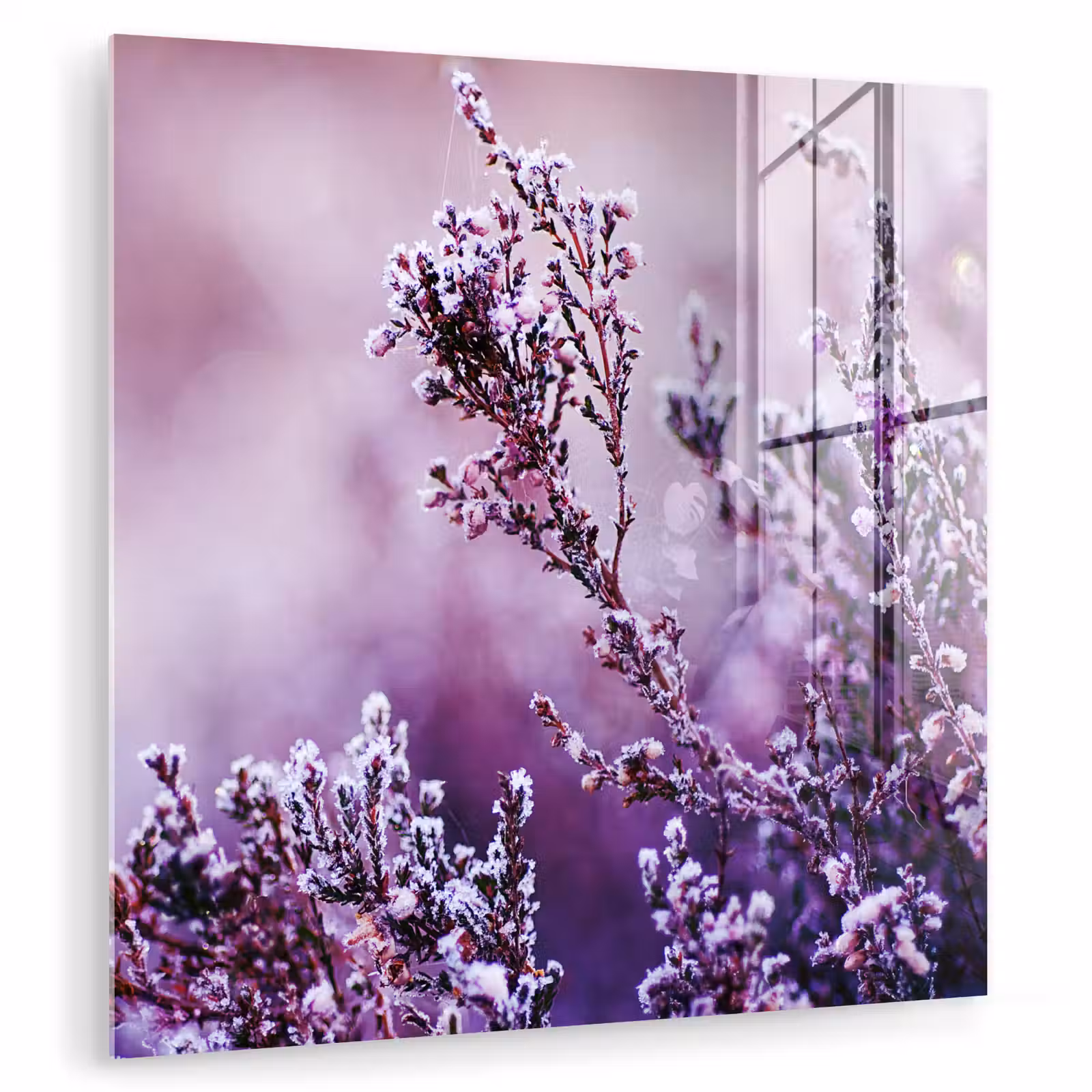 Glasbild - Lavendel - Winter - Blumen - Lila — 1