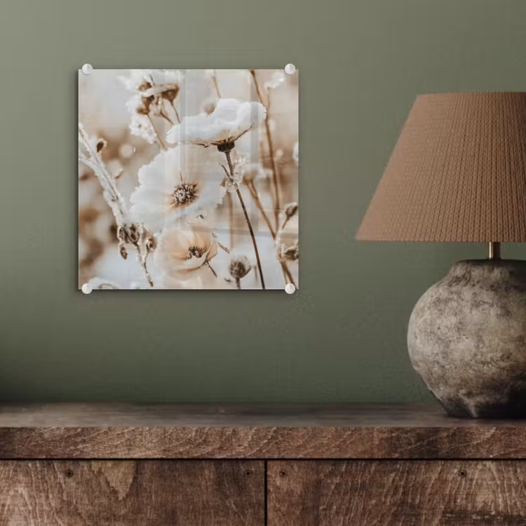 Glasbild - Blumen - Winter - Weiß - Schnee - Beige — 4