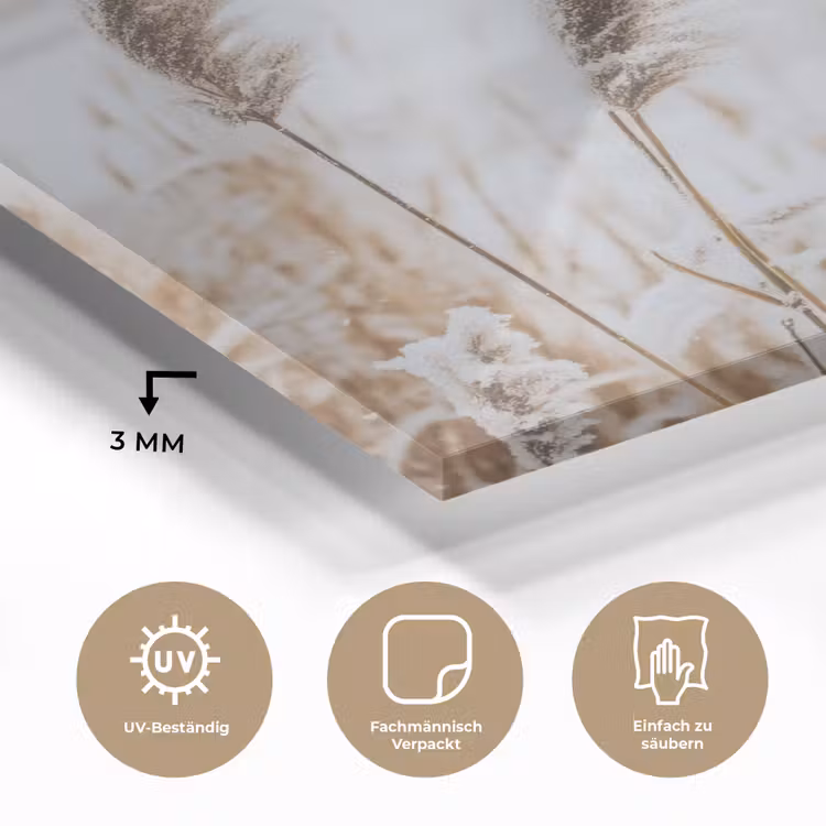 Glasbild - Schilf - See - Winter - Natur - Schnee - Beige — 3