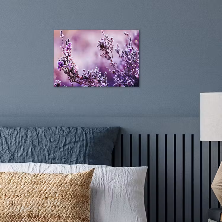 Poster - Lavendel - Winter - Blumen - Lila — 3