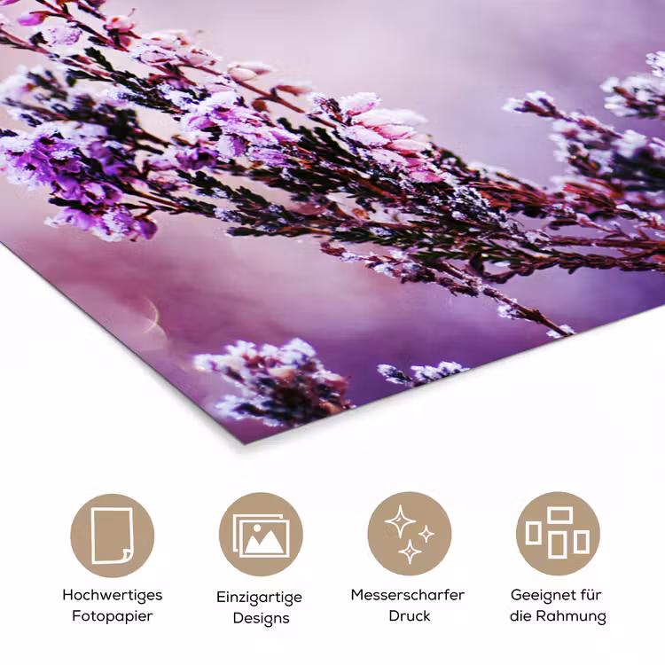 Poster - Lavendel - Winter - Blumen - Lila — 5