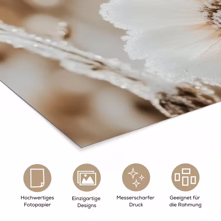 Poster - Blumen - Winter - Weiß - Schnee - Beige — 5