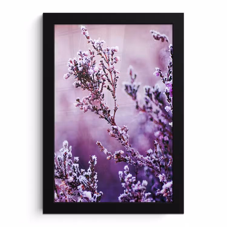 Bilder mit Rahmen - Lavendel - Winter - Blumen - Lila — 1