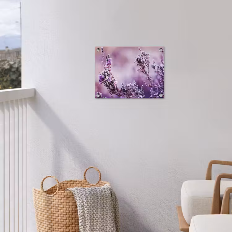 Gartenposter - Lavendel - Winter - Blumen - Lila — 5