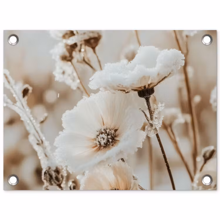 Gartenposter - Blumen - Winter - Weiß - Schnee - Beige — 1