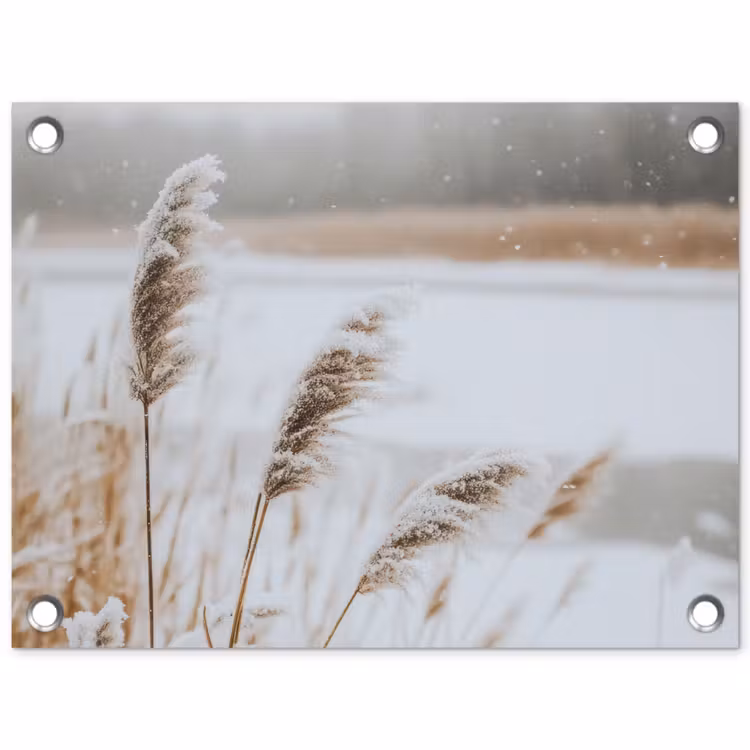 Gartenposter - Schilf - See - Winter - Natur - Schnee - Beige — 1