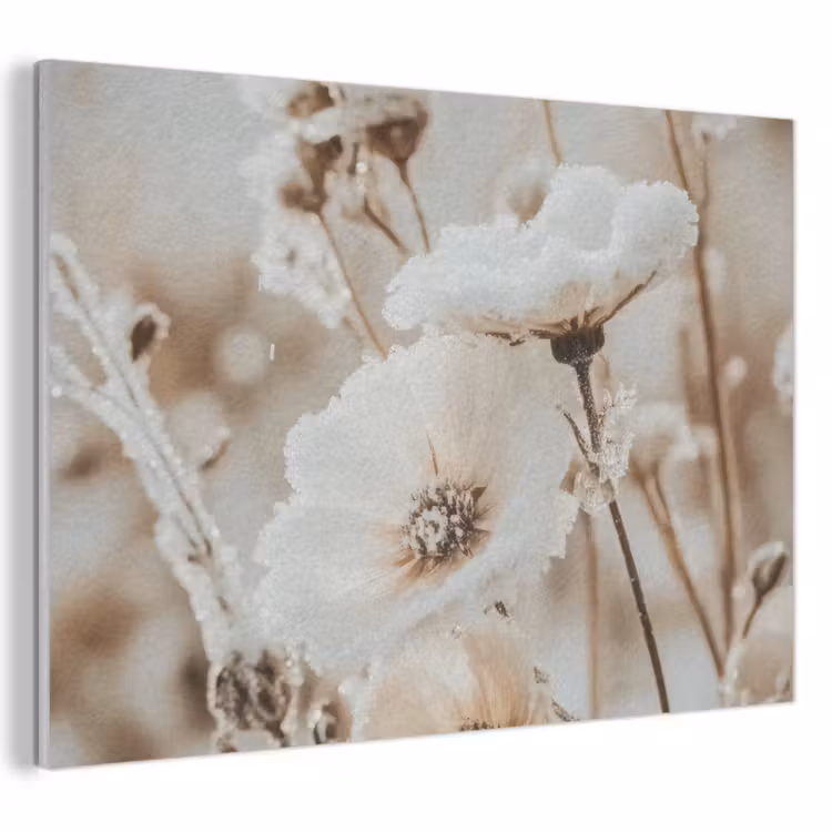 Akustikbild - Blumen - Winter - Weiß - Schnee - Beige — 1