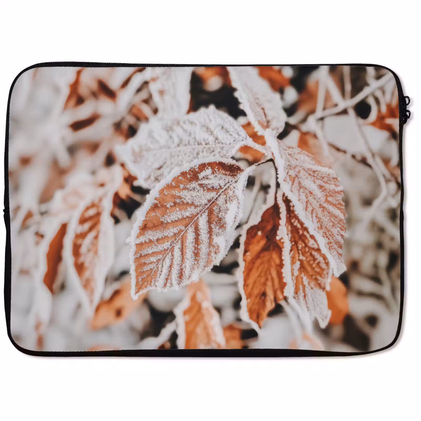 Laptop hülle - Laub - Eis - Winter - Natur — 1