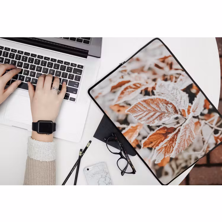 Laptop hülle - Laub - Eis - Winter - Natur — 3