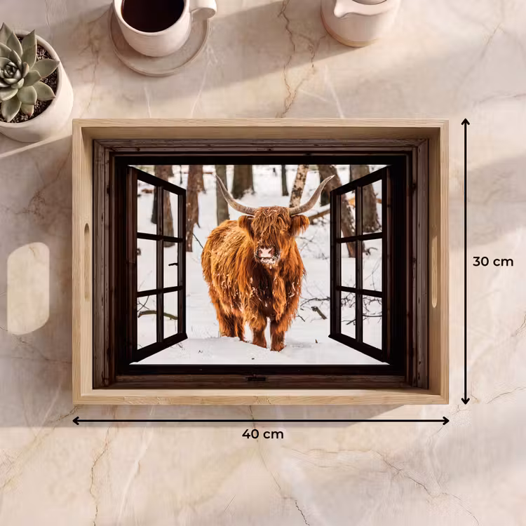 Tablett - Schottischer Highlander - Schnee - Natur - Tiere - Durchsichtig - Winter — 9