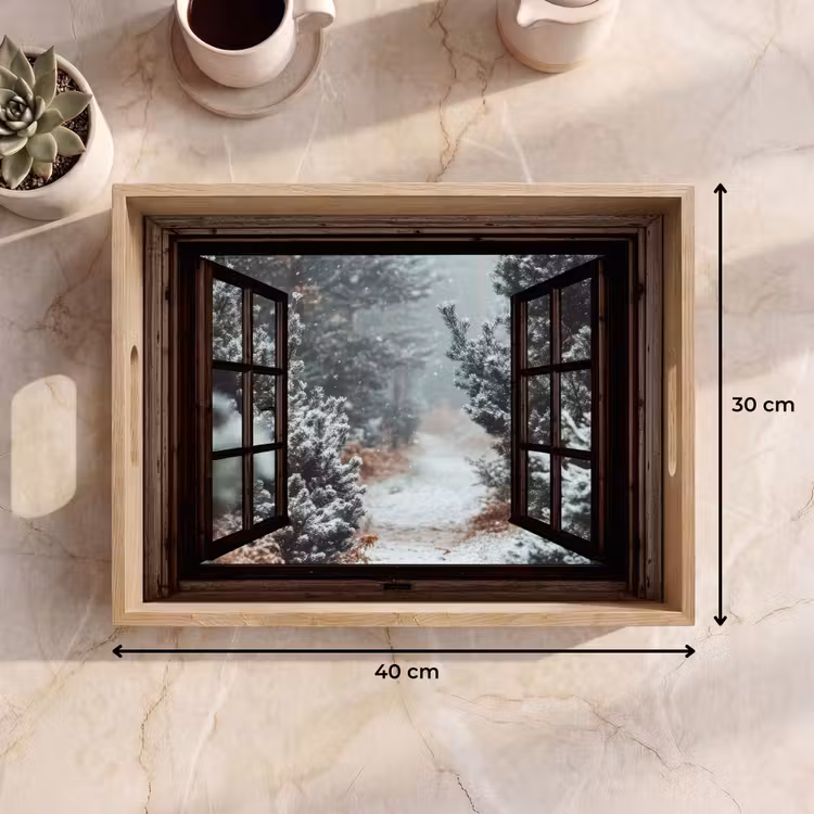 Tablett - Wald - Winter - Bäume - Natur - Weg - Aussicht — 9