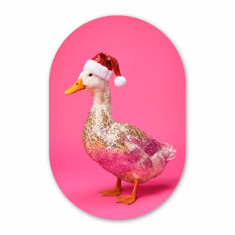 Glasbild Oval - Vogel – Weihnachten – Rosa — 1