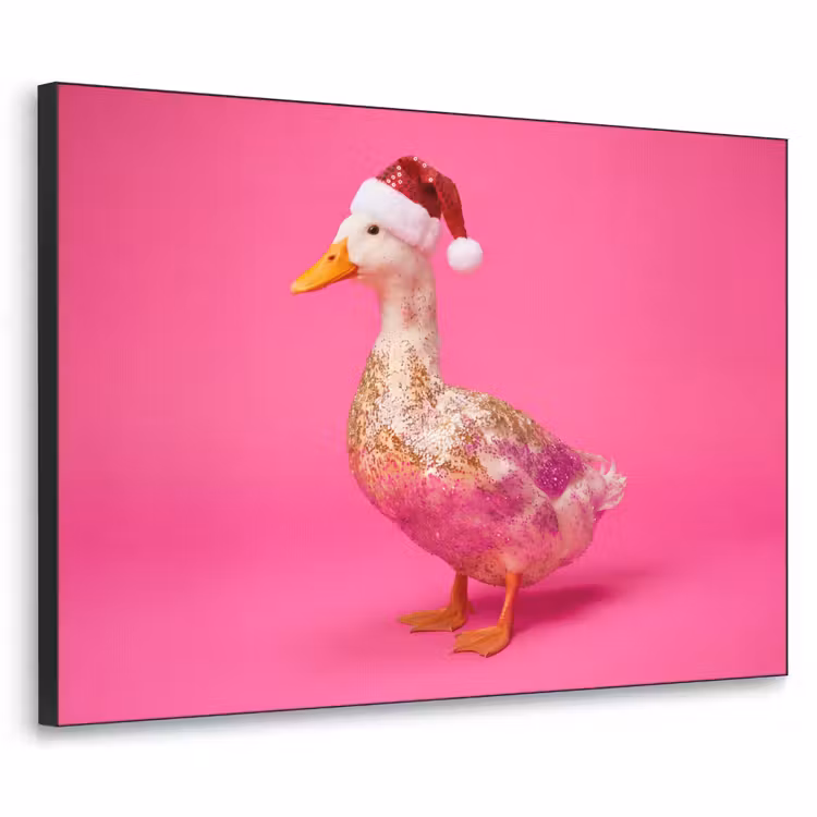 Art Frame - Vogel – Weihnachten – Rosa — 1