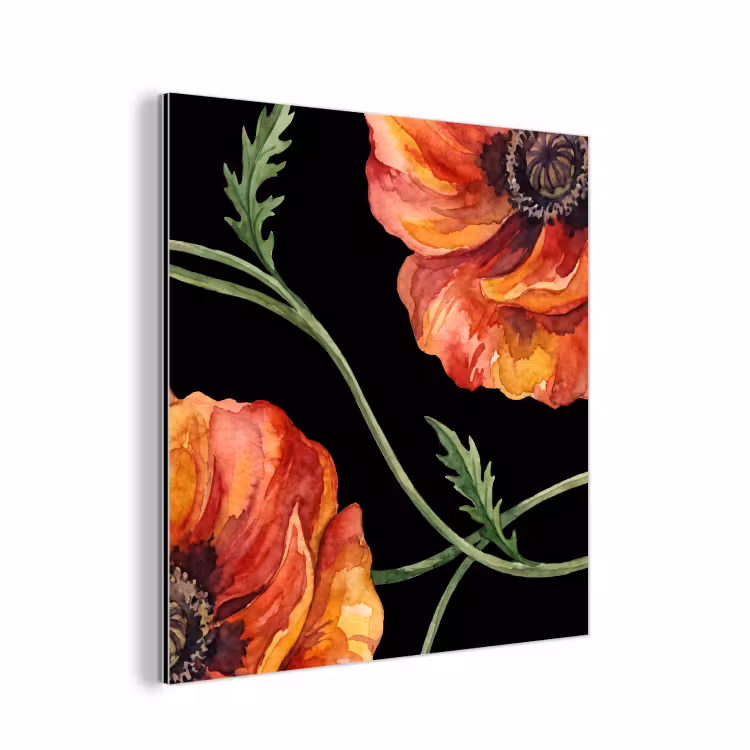 Alu-Dibond-Bild - Blumen – Aquarell – Schwarz — 1