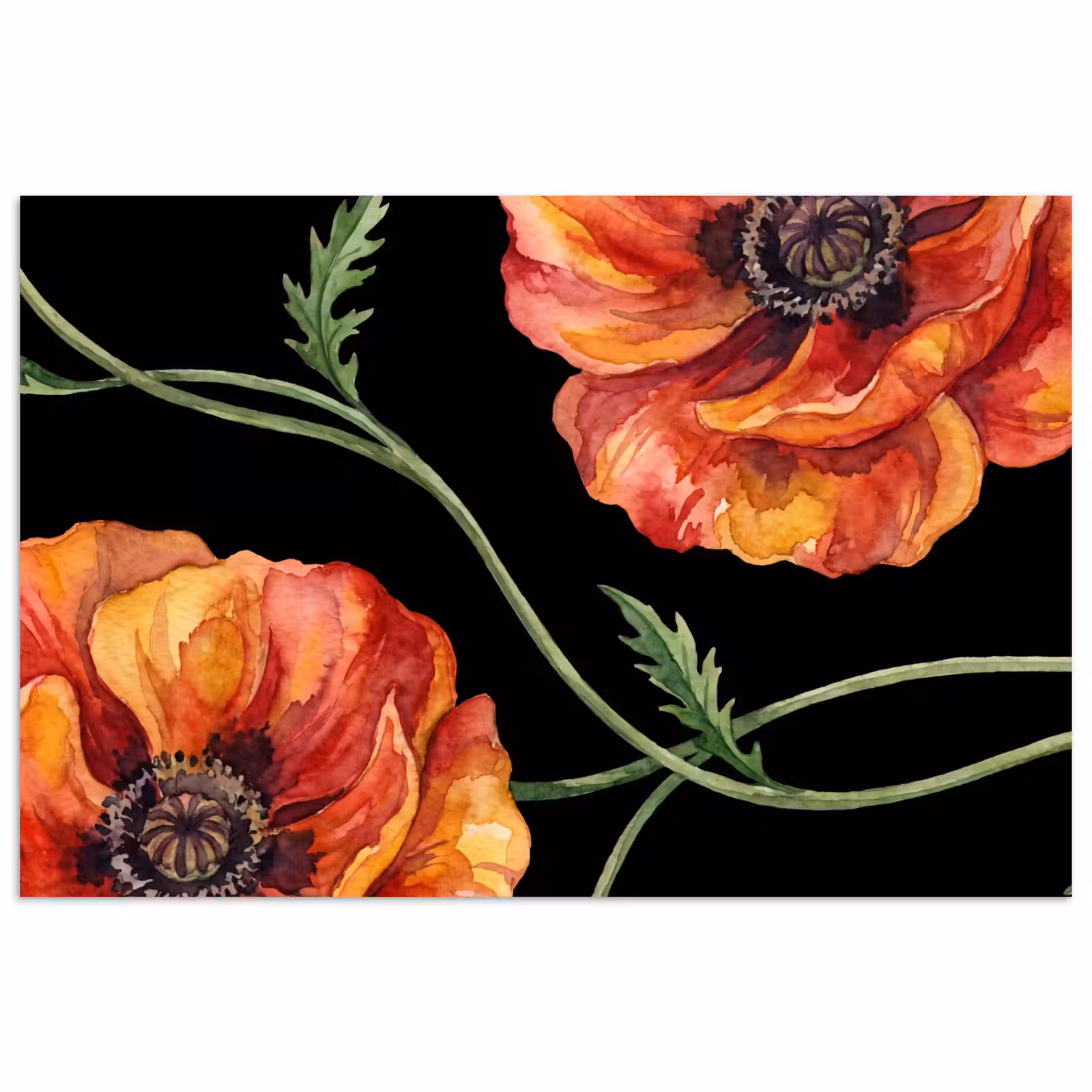 Poster - Blumen – Aquarell – Schwarz — 1