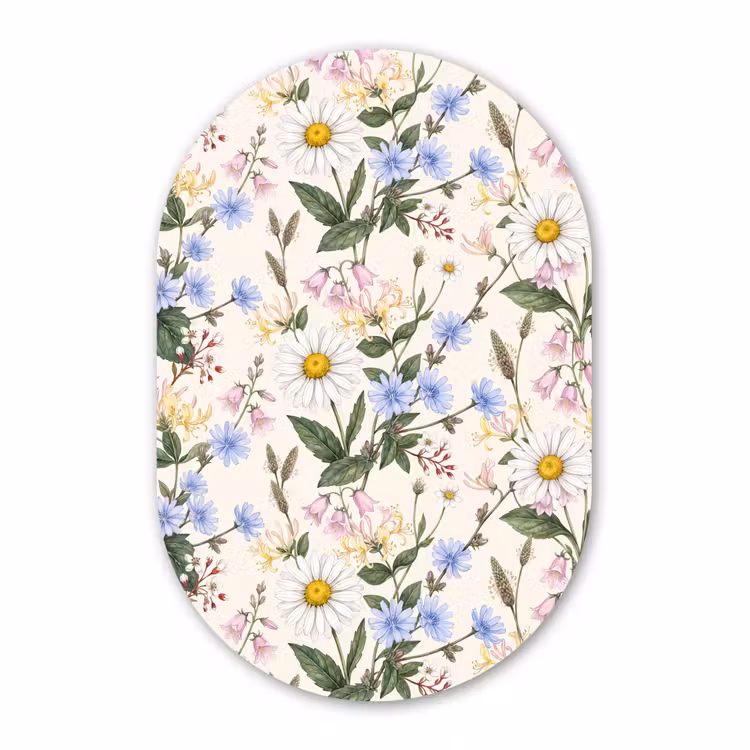 Glasbild Oval - Botanisch – Illustration – Farbenfroh — 1