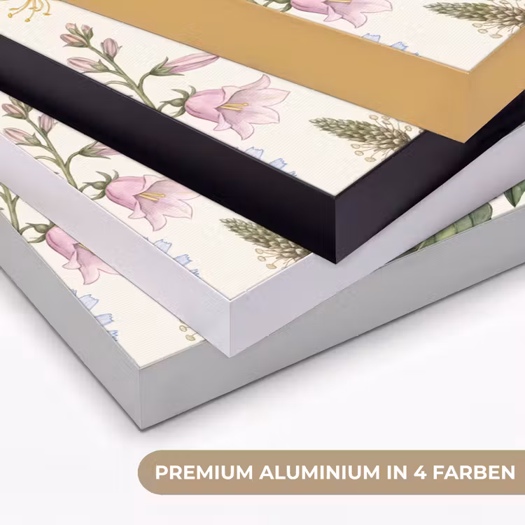 Art Frame - Botanisch – Illustration – Farbenfroh — 5