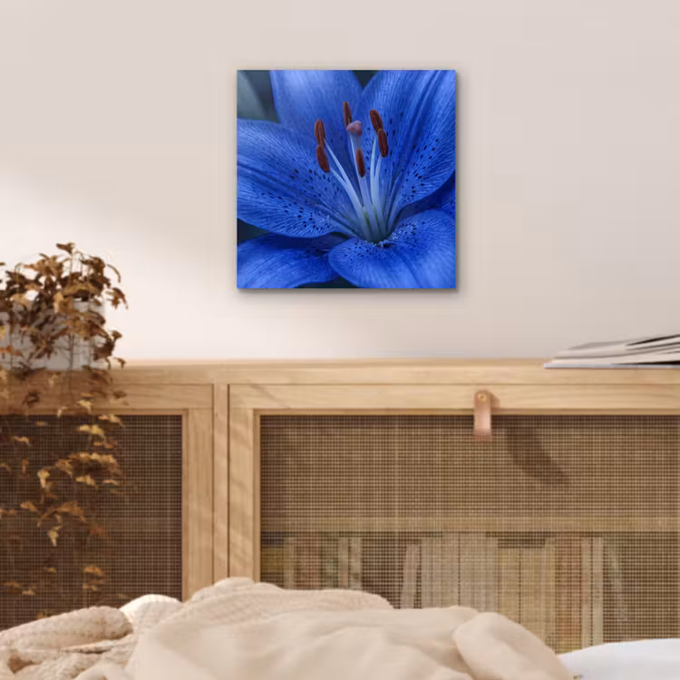 Alu-Dibond-Bild - Blaue Blume – Natur — 4