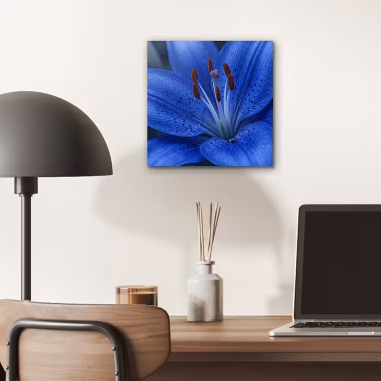 Alu-Dibond-Bild - Blaue Blume – Natur — 6