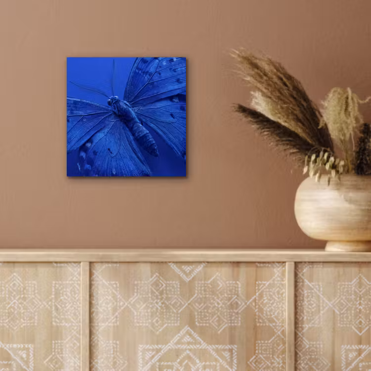 Alu-Dibond-Bild - Blauer Schmetterling – Insekt — 5