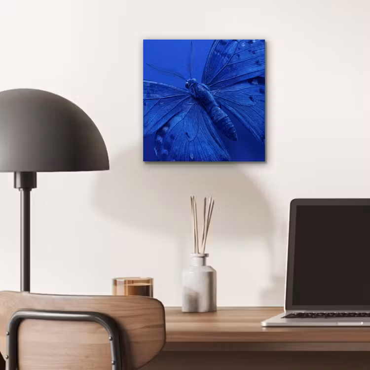 Alu-Dibond-Bild - Blauer Schmetterling – Insekt — 6