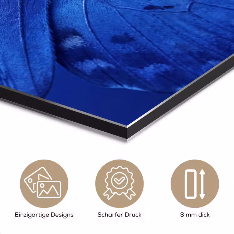 Alu-Dibond-Bild - Blauer Schmetterling – Insekt — 7