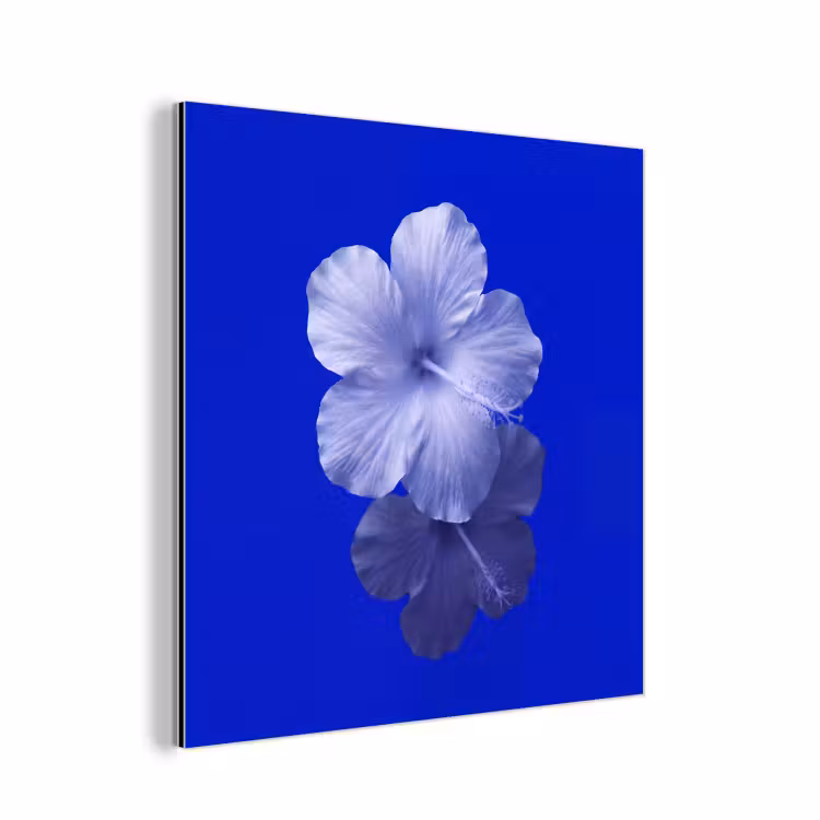 Alu-Dibond-Bild - Blumen – Blau – Natur — 1