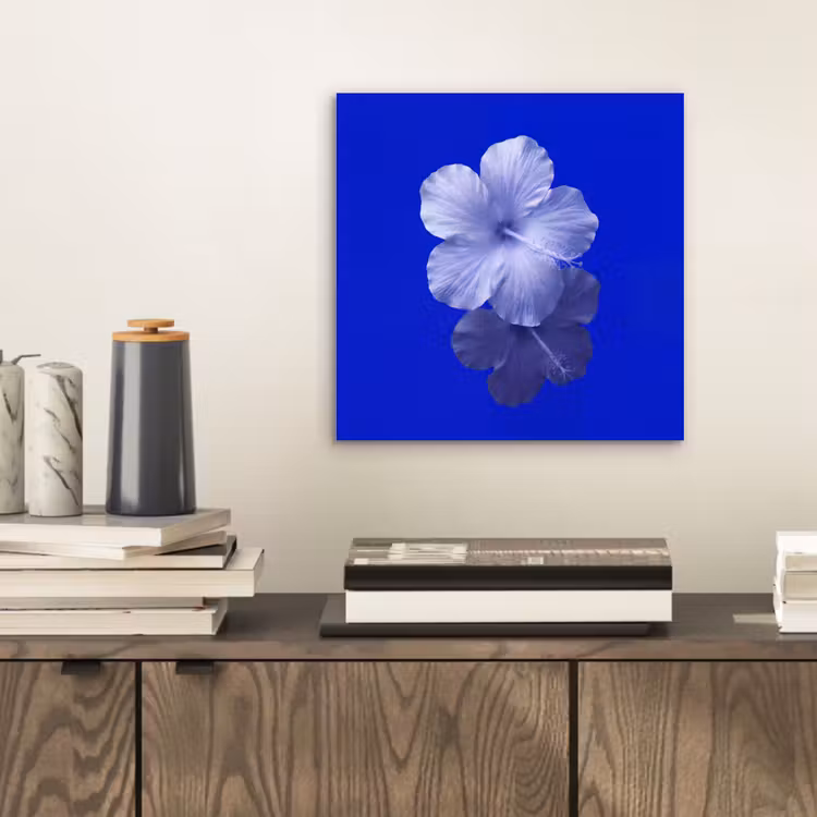 Alu-Dibond-Bild - Blumen – Blau – Natur — 2