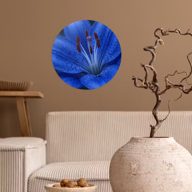 Runde Tapete - Blaue Blume – Natur — 2