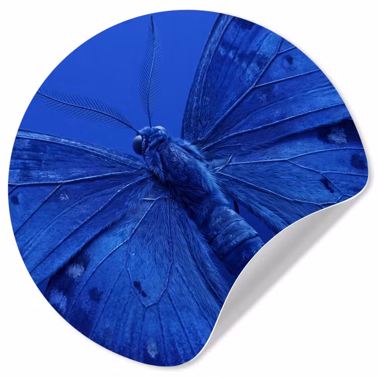 Runde Tapete - Blauer Schmetterling – Insekt — 1