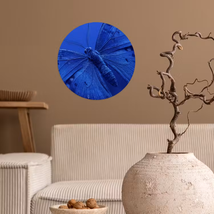 Runde Tapete - Blauer Schmetterling – Insekt — 2