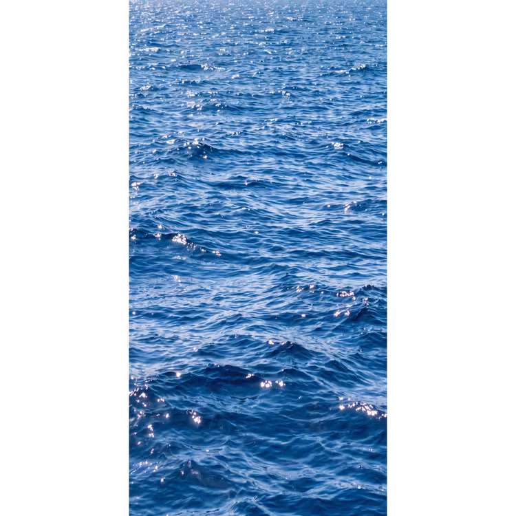 Tapete - Wasser – Oberfläche – Natur — 2