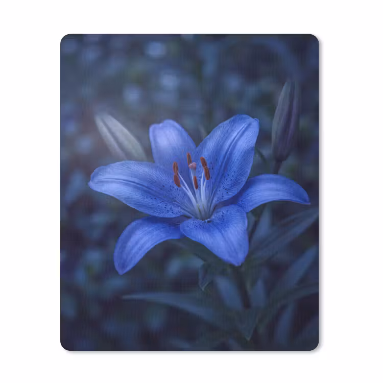 Mauspad - Blaue Blume – Natur — 1
