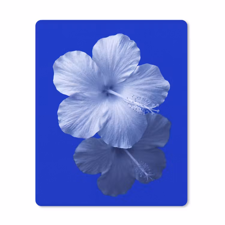 Mauspad - Blumen – Blau – Natur — 1