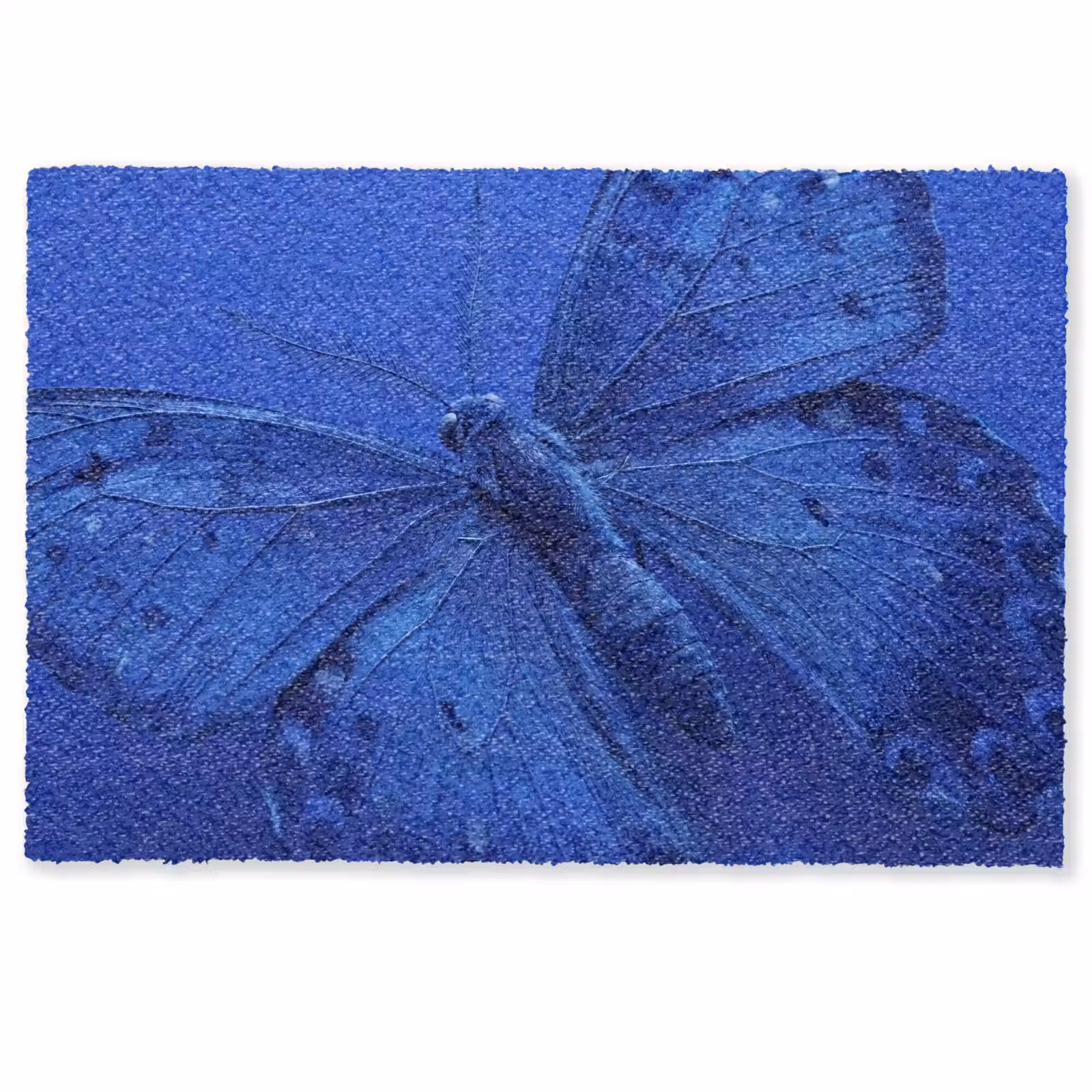 Fußmatte - Blauer Schmetterling – Insekt — 1
