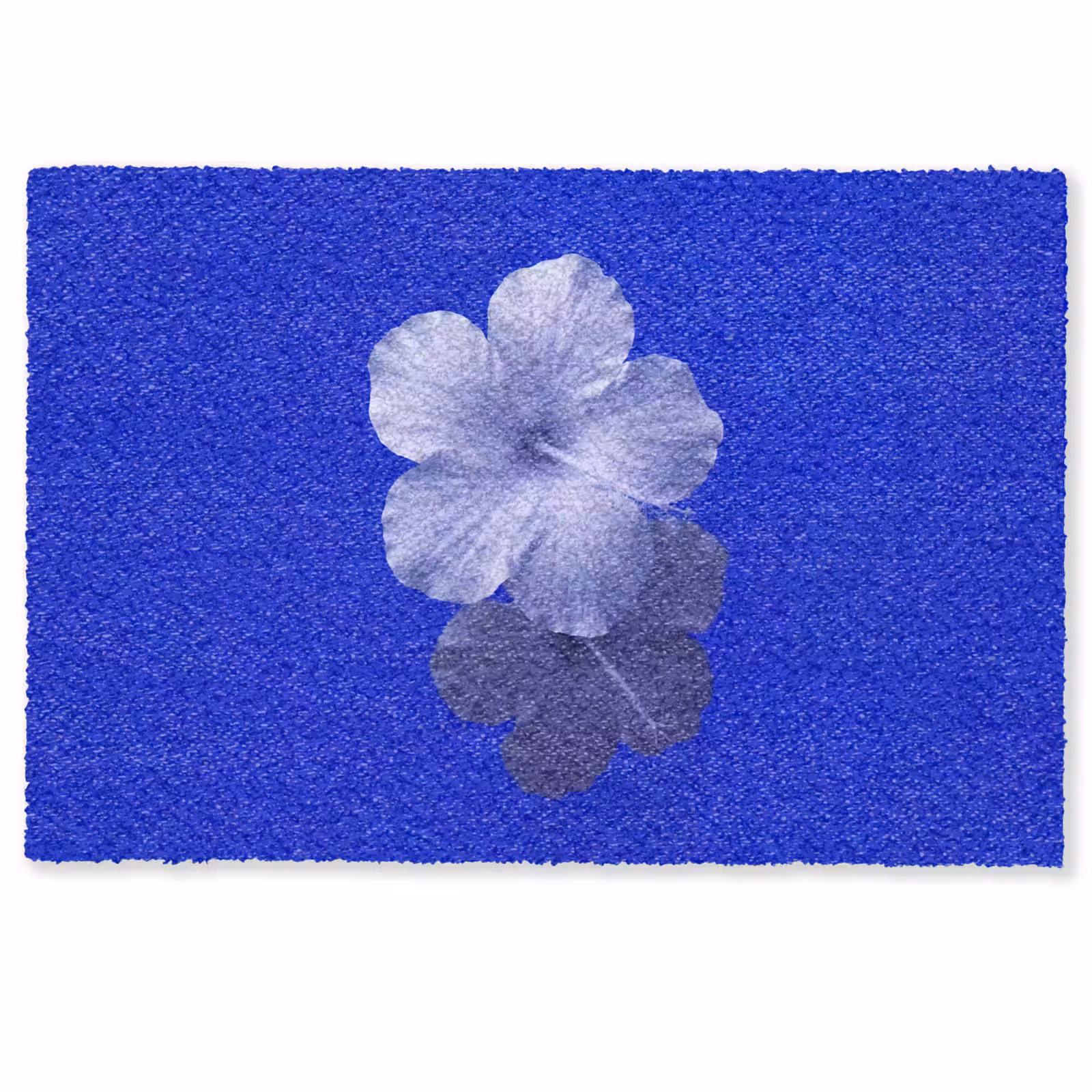 Fußmatte - Blumen – Blau – Natur — 1