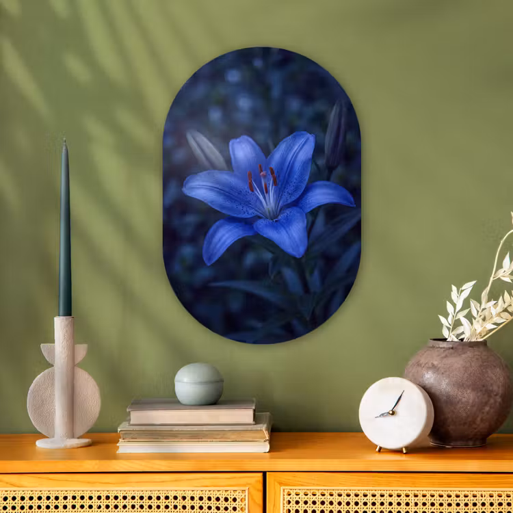 Forexbild Oval - Blaue Blume – Natur — 3