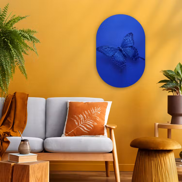 Forexbild Oval - Blauer Schmetterling – Insekt — 2