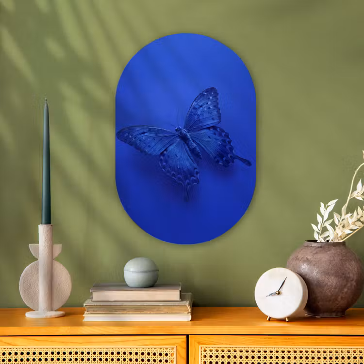 Forexbild Oval - Blauer Schmetterling – Insekt — 3