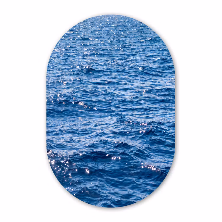 Forexbild Oval - Wasser – Oberfläche – Natur — 1