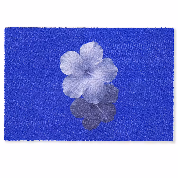 Fußmatte - Blumen – Blau – Natur — 1
