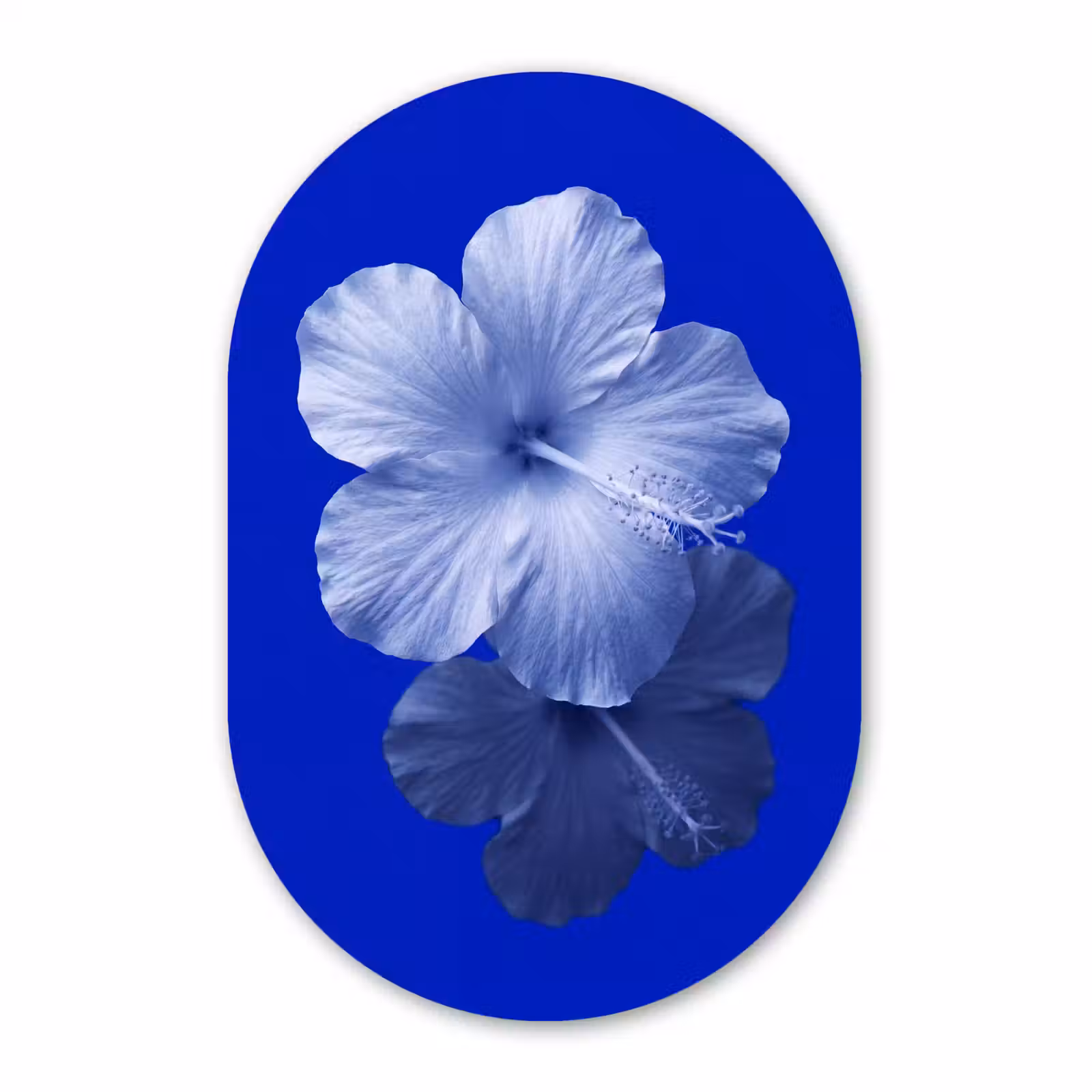 Glasbild Oval - Blumen – Blau – Natur — 1