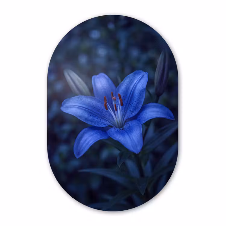 Glasbild Oval - Blaue Blume – Natur — 1