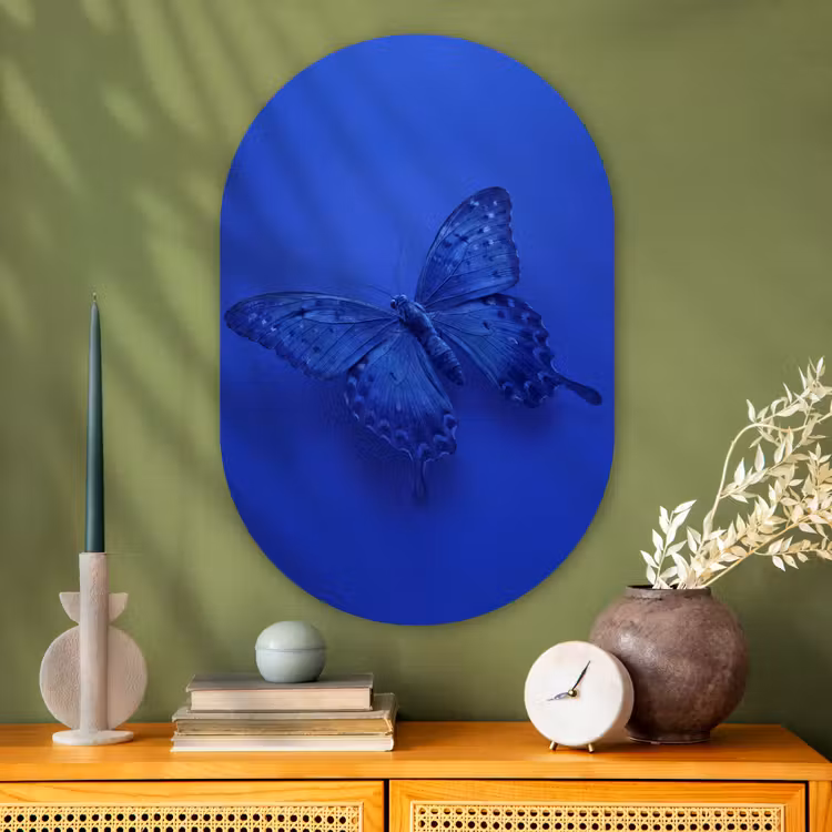 Glasbild Oval - Blauer Schmetterling – Insekt — 2
